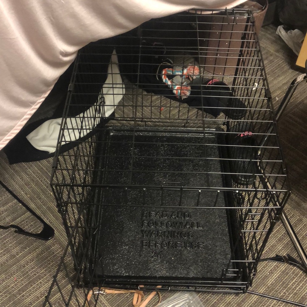 Dog cage! Never used!